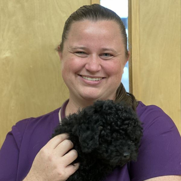 Vet staff holding a dog